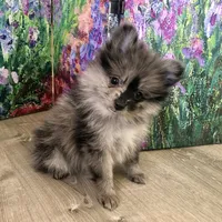 processed/eb95dc66-1eb8-4db3-b07a-f0e7de83521f/facility/3f4d90a6-ab4e-4368-9084-b7f2e57cb30c