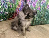 processed/eb95dc66-1eb8-4db3-b07a-f0e7de83521f/facility/3f4d90a6-ab4e-4368-9084-b7f2e57cb30c