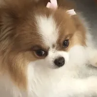 processed/eb95dc66-1eb8-4db3-b07a-f0e7de83521f/facility/631b3231-8285-487b-a131-062fe9891887