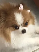 processed/eb95dc66-1eb8-4db3-b07a-f0e7de83521f/facility/631b3231-8285-487b-a131-062fe9891887