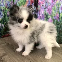 processed/eb95dc66-1eb8-4db3-b07a-f0e7de83521f/facility/a481eca2-f436-4267-921a-bdb814ea8666