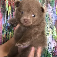 processed/eb95dc66-1eb8-4db3-b07a-f0e7de83521f/facility/b33d99b1-dc46-4970-849e-cc32a0e30507