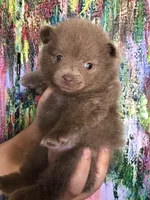 processed/eb95dc66-1eb8-4db3-b07a-f0e7de83521f/facility/b33d99b1-dc46-4970-849e-cc32a0e30507