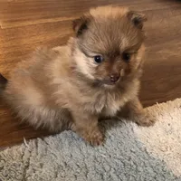 processed/eb95dc66-1eb8-4db3-b07a-f0e7de83521f/facility/bca1a75a-9b07-4d4e-a280-3952c0f16fbe