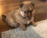 processed/eb95dc66-1eb8-4db3-b07a-f0e7de83521f/facility/bca1a75a-9b07-4d4e-a280-3952c0f16fbe