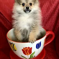 processed/eb95dc66-1eb8-4db3-b07a-f0e7de83521f/facility/f4d57400-1632-4113-a30d-3432f170a25a