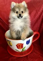 processed/eb95dc66-1eb8-4db3-b07a-f0e7de83521f/facility/f4d57400-1632-4113-a30d-3432f170a25a