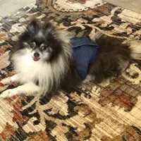 processed/eb95dc66-1eb8-4db3-b07a-f0e7de83521f/facility/fe04c6eb-88ac-4fbc-bd22-82ec3aa4f832