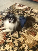 processed/eb95dc66-1eb8-4db3-b07a-f0e7de83521f/facility/fe04c6eb-88ac-4fbc-bd22-82ec3aa4f832