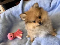 processed/eb95dc66-1eb8-4db3-b07a-f0e7de83521f/listing/de7f804e-b988-47d9-886f-7b35923c6390/3a91f08b-9d21-4625-b491-adbdeb1a9e61