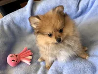 processed/eb95dc66-1eb8-4db3-b07a-f0e7de83521f/listing/de7f804e-b988-47d9-886f-7b35923c6390/7e56d2ab-964e-4a05-8a19-85fb412a8b86