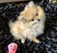 processed/eb95dc66-1eb8-4db3-b07a-f0e7de83521f/listing/de7f804e-b988-47d9-886f-7b35923c6390/d0b3c3a0-cc34-42a2-b626-6c2fbeeec5cf