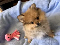 processed/eb95dc66-1eb8-4db3-b07a-f0e7de83521f/listing/de7f804e-b988-47d9-886f-7b35923c6390/f7dc9e82-a4e6-4a22-bf2f-08a14da8f71d