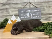 processed/eb9783f0-ef71-47a2-95e6-9a4a9f2b15e6/listing/d64d0698-d828-4776-a574-bf8299a282e0/499e1b56-ce82-42d3-9f59-66fa5c55d3ae