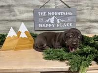 processed/eb9783f0-ef71-47a2-95e6-9a4a9f2b15e6/listing/d64d0698-d828-4776-a574-bf8299a282e0/d07bac0c-4b67-4c22-a0cc-e70b60264cad