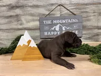 processed/eb9783f0-ef71-47a2-95e6-9a4a9f2b15e6/listing/e6b039bc-1b53-4666-9a7e-5eb099c10a3b/604fd5a9-f7fa-4569-b8d3-2d26ae9f79db