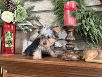 processed/eb9db510-31c3-4d7e-9c89-f5eabffd0452/listing/77e0903c-d157-48b6-9eb8-da61f31c4404/0e14faa6-6214-4cab-b4ae-fae8b8662784