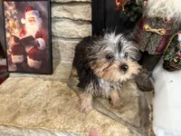 processed/eb9db510-31c3-4d7e-9c89-f5eabffd0452/listing/77e0903c-d157-48b6-9eb8-da61f31c4404/15c69a6e-4ee3-446d-926b-b02c6ded1967