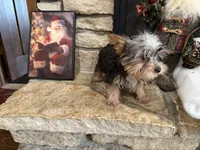 processed/eb9db510-31c3-4d7e-9c89-f5eabffd0452/listing/77e0903c-d157-48b6-9eb8-da61f31c4404/7a337bc0-8c56-4a76-8b47-4c60cca793bd