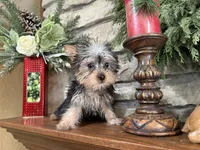 processed/eb9db510-31c3-4d7e-9c89-f5eabffd0452/listing/77e0903c-d157-48b6-9eb8-da61f31c4404/8e3614e6-904a-43b5-899f-5912f91ce669