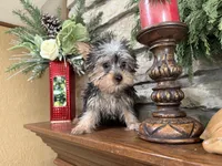 processed/eb9db510-31c3-4d7e-9c89-f5eabffd0452/listing/77e0903c-d157-48b6-9eb8-da61f31c4404/a5c2135a-d6ed-4b68-8767-90a3935b8e63