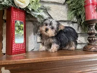 processed/eb9db510-31c3-4d7e-9c89-f5eabffd0452/listing/77e0903c-d157-48b6-9eb8-da61f31c4404/a67d3a96-63fc-4eca-b540-791df188798a