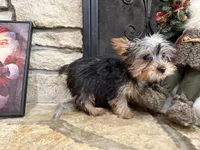 processed/eb9db510-31c3-4d7e-9c89-f5eabffd0452/listing/77e0903c-d157-48b6-9eb8-da61f31c4404/d0f74473-94b0-43a3-bf7e-7ec36429b16a