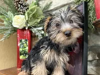 processed/eb9db510-31c3-4d7e-9c89-f5eabffd0452/listing/915d71a2-c4d5-4703-875f-1b253baa5375/23b0b785-3b0c-49f8-b464-890969c55c6f