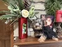 processed/eb9db510-31c3-4d7e-9c89-f5eabffd0452/listing/915d71a2-c4d5-4703-875f-1b253baa5375/705e44c0-ea37-43a3-a7e9-5fcd9345ffd1