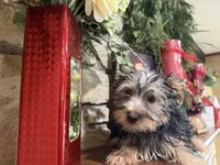 processed/eb9db510-31c3-4d7e-9c89-f5eabffd0452/listing/915d71a2-c4d5-4703-875f-1b253baa5375/74d1191c-a633-48f5-9037-dc675ef2f716