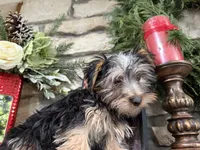 processed/eb9db510-31c3-4d7e-9c89-f5eabffd0452/listing/915d71a2-c4d5-4703-875f-1b253baa5375/7a23f555-0e8f-45ed-a426-036970e4c428