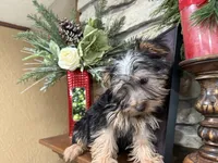 processed/eb9db510-31c3-4d7e-9c89-f5eabffd0452/listing/915d71a2-c4d5-4703-875f-1b253baa5375/a5b5797b-3d81-4b08-b285-9743482f01f4