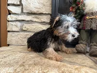 processed/eb9db510-31c3-4d7e-9c89-f5eabffd0452/listing/915d71a2-c4d5-4703-875f-1b253baa5375/a6177065-7470-4d9b-bc7c-adb194342563