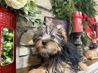 processed/eb9db510-31c3-4d7e-9c89-f5eabffd0452/listing/915d71a2-c4d5-4703-875f-1b253baa5375/b5d75379-9a5f-4533-bf19-9beac28b7cf7