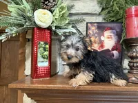 processed/eb9db510-31c3-4d7e-9c89-f5eabffd0452/listing/915d71a2-c4d5-4703-875f-1b253baa5375/e8590ab5-4071-4419-9cc9-133149818841