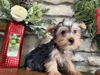 processed/eb9db510-31c3-4d7e-9c89-f5eabffd0452/listing/a9b462d2-8dbb-4279-b4b2-00e5b67db977/0584084c-24ca-440d-8d6e-d2c79ce17f7b