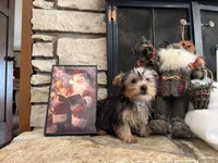 processed/eb9db510-31c3-4d7e-9c89-f5eabffd0452/listing/a9b462d2-8dbb-4279-b4b2-00e5b67db977/54b61f4f-a6bf-4ab0-a1e6-e555179160bd