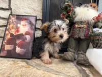 processed/eb9db510-31c3-4d7e-9c89-f5eabffd0452/listing/a9b462d2-8dbb-4279-b4b2-00e5b67db977/5cb7c759-e50c-4213-b9fe-8e448efddbfd