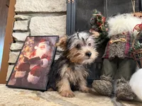 processed/eb9db510-31c3-4d7e-9c89-f5eabffd0452/listing/a9b462d2-8dbb-4279-b4b2-00e5b67db977/9c23ee17-7699-48f2-b9ae-58c2c11bd819