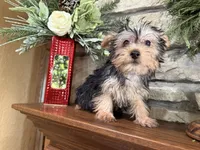 processed/eb9db510-31c3-4d7e-9c89-f5eabffd0452/listing/a9b462d2-8dbb-4279-b4b2-00e5b67db977/a3542eca-407d-4c82-bfee-afbf472ccaf9