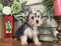 processed/eb9db510-31c3-4d7e-9c89-f5eabffd0452/listing/a9b462d2-8dbb-4279-b4b2-00e5b67db977/ce867add-6ff4-464b-a2e1-dde0bccd3a68