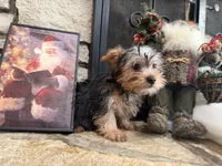 processed/eb9db510-31c3-4d7e-9c89-f5eabffd0452/listing/a9b462d2-8dbb-4279-b4b2-00e5b67db977/da1146c2-ab05-49f4-8ba6-f2f8ab4cc977