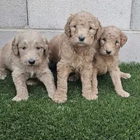 processed/eb9f4121-119d-42e7-ad99-7cb660aae49f/facility/e6919a35-7b05-45bc-9829-9adcccb65eca