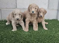 processed/eb9f4121-119d-42e7-ad99-7cb660aae49f/facility/e6919a35-7b05-45bc-9829-9adcccb65eca