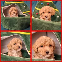 processed/eb9f4121-119d-42e7-ad99-7cb660aae49f/facility/f7d5f459-85c7-4cae-8514-d4e5a8c6be3e