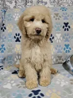 processed/eb9f4121-119d-42e7-ad99-7cb660aae49f/listing/3536cda1-8d40-466c-a1cc-88731758e5e2/3fddd24b-10ce-4282-840f-22712adea09f