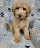 processed/eb9f4121-119d-42e7-ad99-7cb660aae49f/listing/62bff735-252b-4caa-ba98-80a55ba83ec5/4914b1eb-8766-4e11-ad74-aa19670d6382