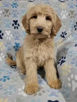 processed/eb9f4121-119d-42e7-ad99-7cb660aae49f/listing/62bff735-252b-4caa-ba98-80a55ba83ec5/975da320-b488-41eb-ab35-9de3b265b2bf