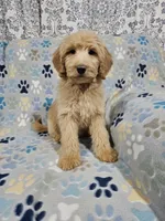 processed/eb9f4121-119d-42e7-ad99-7cb660aae49f/listing/62bff735-252b-4caa-ba98-80a55ba83ec5/abd4d562-5ed9-427d-8b73-57fa2c17350f