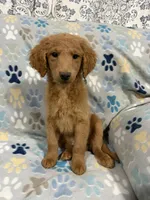 processed/eb9f4121-119d-42e7-ad99-7cb660aae49f/listing/eb1c92ff-e63a-417a-ab3b-056ca04df231/1c42d10c-2733-4015-b129-18b5758088f0